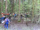 Maibaum_2016 (61).JPG